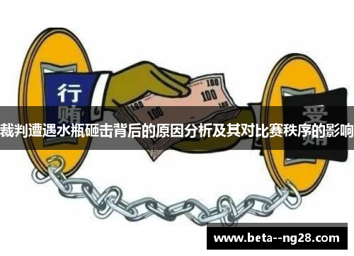 裁判遭遇水瓶砸击背后的原因分析及其对比赛秩序的影响