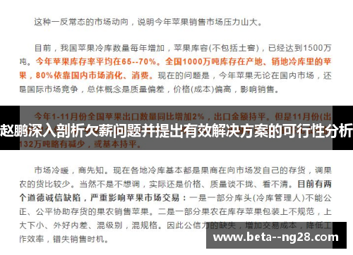 赵鹏深入剖析欠薪问题并提出有效解决方案的可行性分析