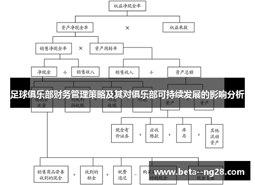 足球俱乐部财务管理策略及其对俱乐部可持续发展的影响分析