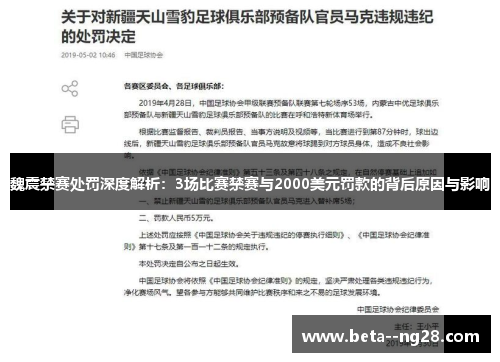 魏震禁赛处罚深度解析：3场比赛禁赛与2000美元罚款的背后原因与影响