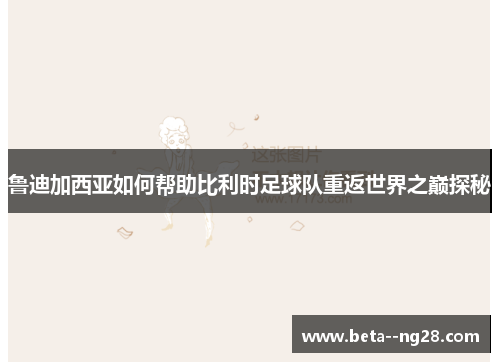 鲁迪加西亚如何帮助比利时足球队重返世界之巅探秘